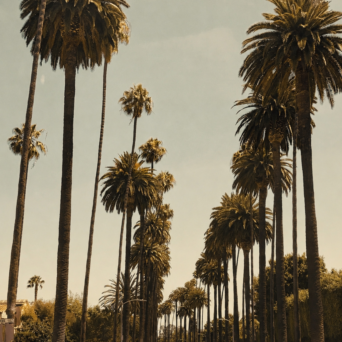 Los Angeles — Westside · Beverly Hills, a market recognized by The Protocol Reserve